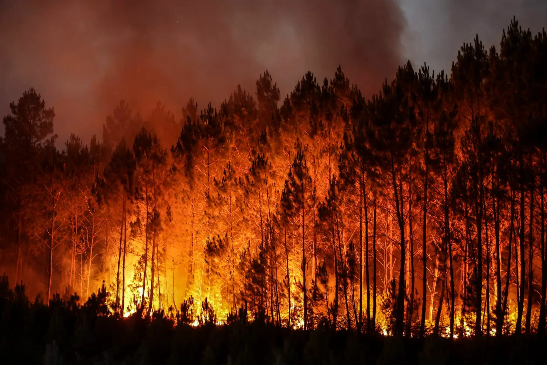 A large wildfire burns intensely through a dense forest at night, with tall trees silhouetted against bright orange flames and thick smoke rising into the dark sky, while brave firefighter teams battle the blaze.