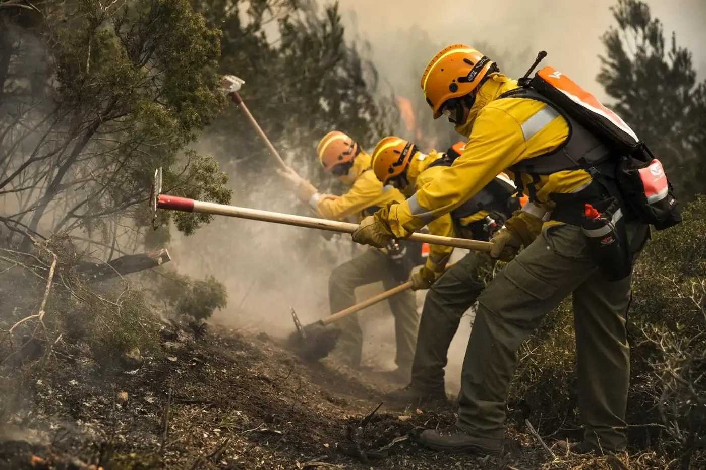 Four firefighters in yellow protective gear and helmets dig through smoky, charred ground with tools, surrounded by dense vegetation as they work to control a wildfire.
